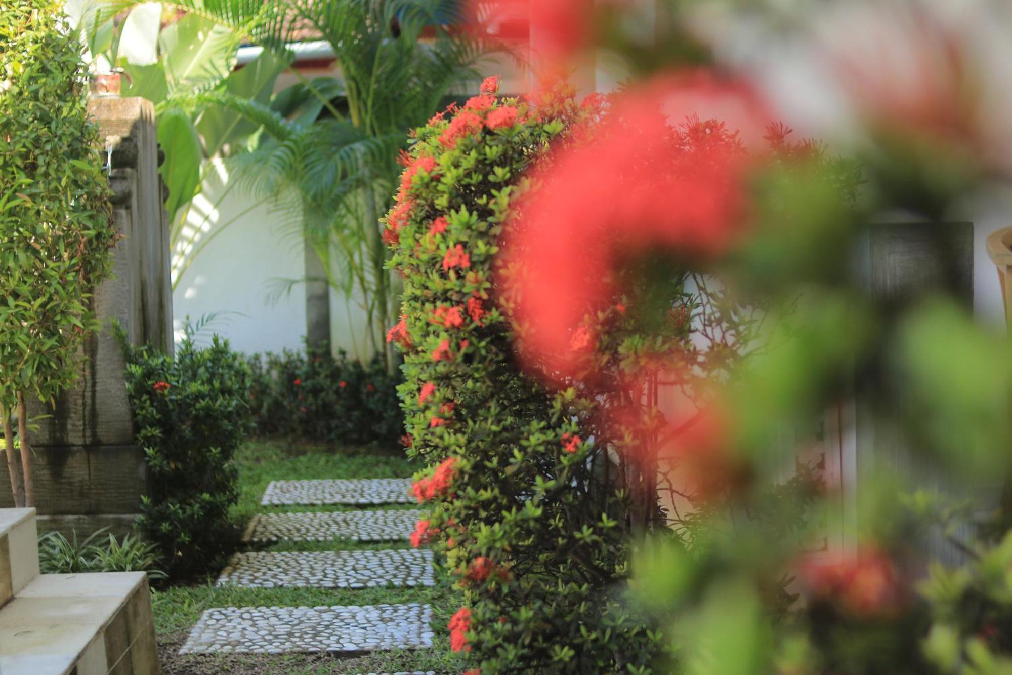 Villa Seruni Lovina エクステリア 写真